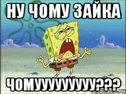 ну чому зайка чомууууууууу???, Мем Спанч Боб плачет