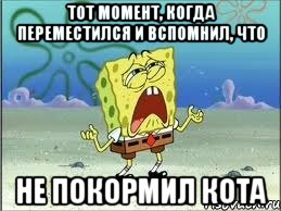 тот момент, когда переместился и вспомнил, что не покормил кота, Мем Спанч Боб плачет