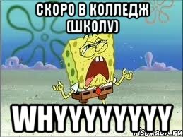 скоро в колледж (школу) whyyyyyyyy, Мем Спанч Боб плачет