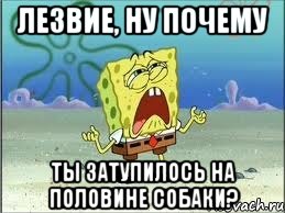 лезвие, ну почему ты затупилось на половине собаки?, Мем Спанч Боб плачет