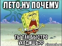 лето,ну почему ты так быстро уходишь??, Мем Спанч Боб плачет