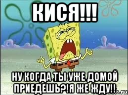 кися!!! ну когда ты уже домой приедешь?!я же жду!!, Мем Спанч Боб плачет