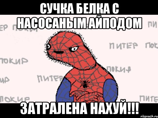 сучка белка с насосаным айподом затралена нахуй!!!, Мем  Спуди мен