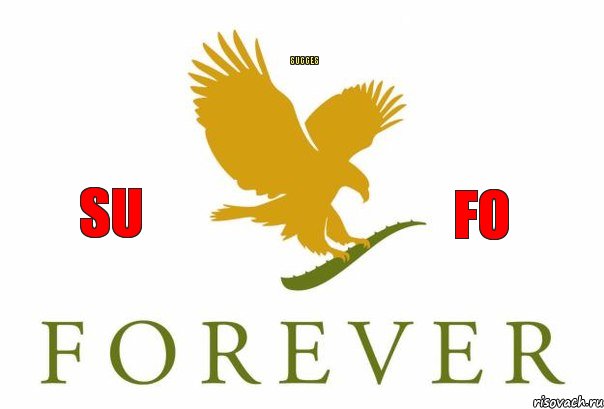 Succes SU FO, Комикс Succes Forever