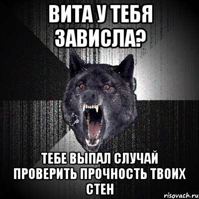 вита у тебя зависла? тебе выпал случай проверить прочность твоих стен, Мем Сумасшедший волк