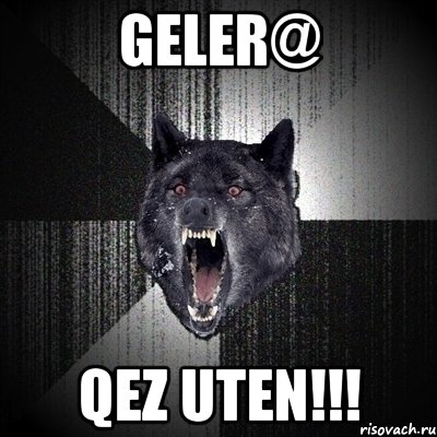 geler@ qez uten!!!, Мем Сумасшедший волк