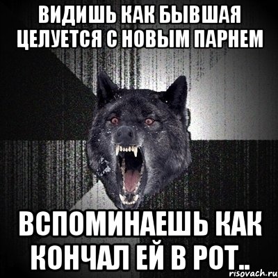 видишь как бывшая целуется с новым парнем вспоминаешь как кончал ей в рот.., Мем Сумасшедший волк