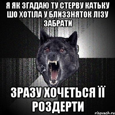 я як згадаю ту стерву катьку шо хотіла у близзняток лізу забрати зразу хочеться її роздерти, Мем Сумасшедший волк