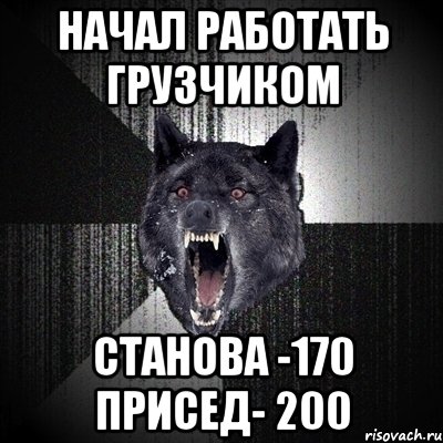 начал работать грузчиком станова -170 присед- 200, Мем Сумасшедший волк