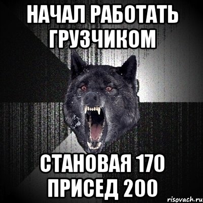 начал работать грузчиком становая 170 присед 200, Мем Сумасшедший волк