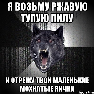 я возьму ржавую тупую пилу и отрежу твои маленькие мохнатые яички, Мем Сумасшедший волк