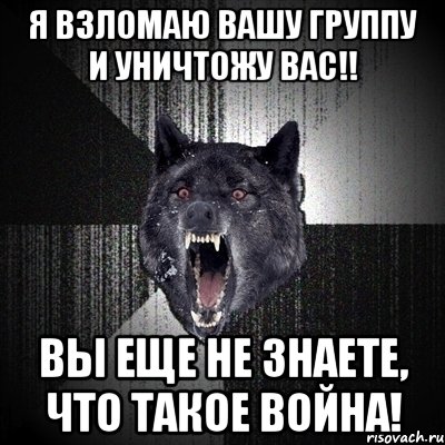 я взломаю вашу группу и уничтожу вас!! вы еще не знаете, что такое война!, Мем Сумасшедший волк