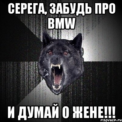 серега, забудь про bmw и думай о жене!!!, Мем Сумасшедший волк