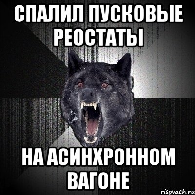 спалил пусковые реостаты на асинхронном вагоне, Мем Сумасшедший волк