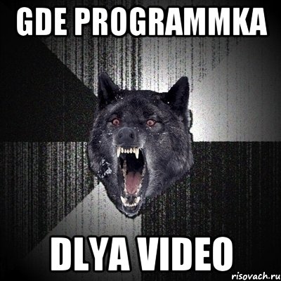 gde programmka dlya video, Мем Сумасшедший волк