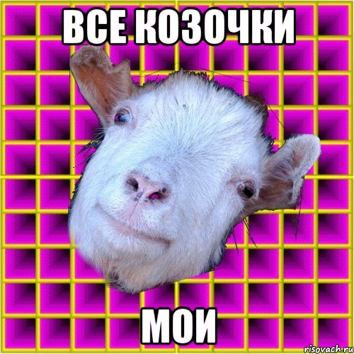 все козочки мои