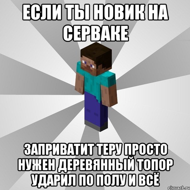 если ты новик на серваке заприватит теру просто нужен деревянный топор ударил по полу и всё, Мем Типичный игрок Minecraft