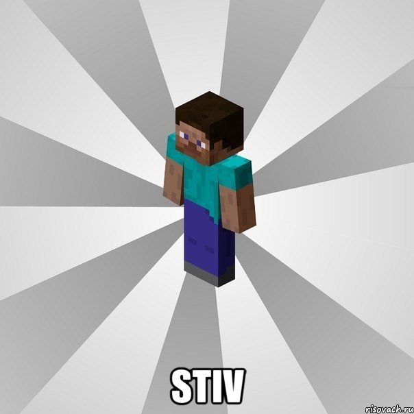  stiv, Мем Типичный игрок Minecraft