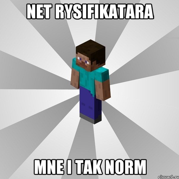 net rysifikatara mne i tak norm, Мем Типичный игрок Minecraft