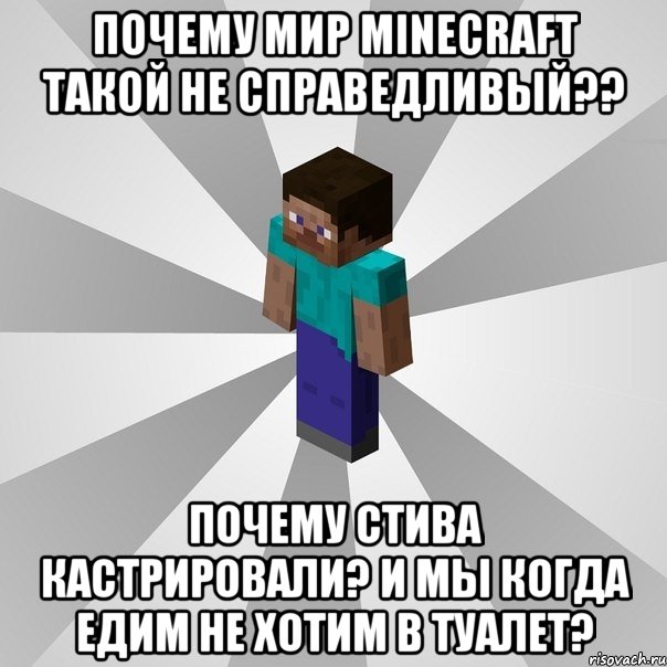 почему мир minecraft такой не справедливый?? почему стива кастрировали? и мы когда едим не хотим в туалет?, Мем Типичный игрок Minecraft