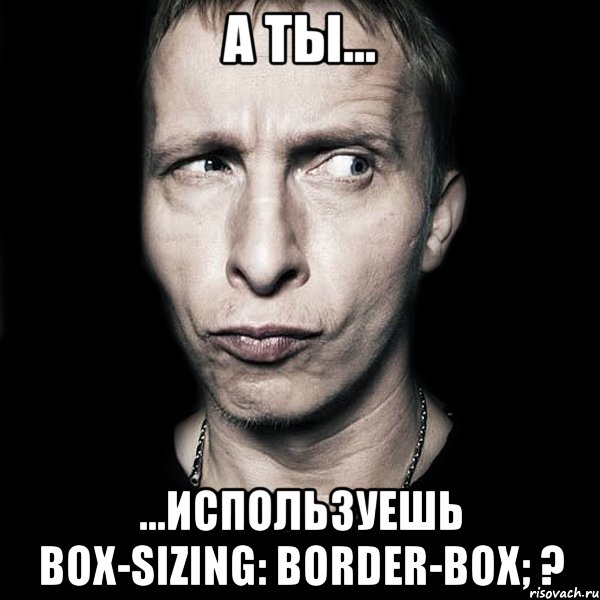 а ты... ...используешь box-sizing: border-box; ?, Мем  Типичный Охлобыстин