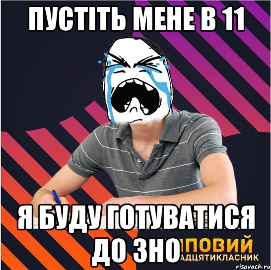 пустіть мене в 11 я буду готуватися до зно, Мем Типовий одинадцятикласник