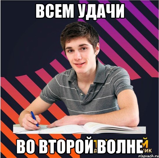 всем удачи во второй волне, Мем Типовий одинадцятикласник