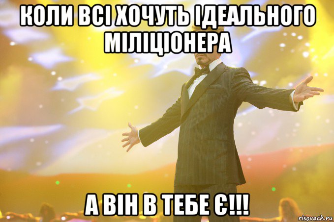 коли всі хочуть ідеального міліціонера а він в тебе є!!!, Мем Тони Старк (Роберт Дауни младший)