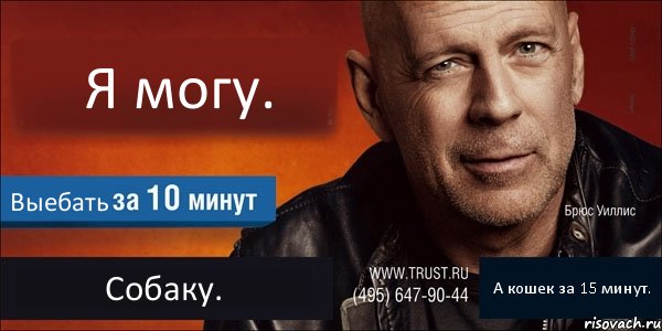 Я могу. Выебать Собаку. А кошек за 15 минут., Комикс Trust