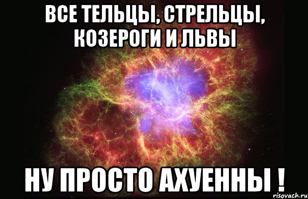 все тельцы, стрельцы, козероги и львы ну просто ахуенны !, Мем Туманность