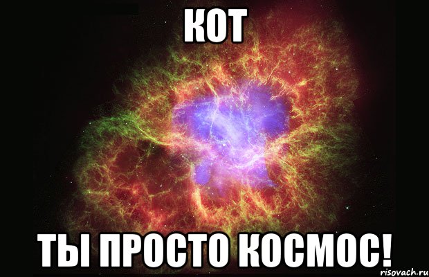 кот ты просто космос!, Мем Туманность