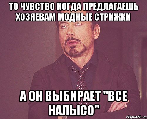 то чувство когда предлагаешь хозяевам модные стрижки а он выбирает "все налысо", Мем твое выражение лица