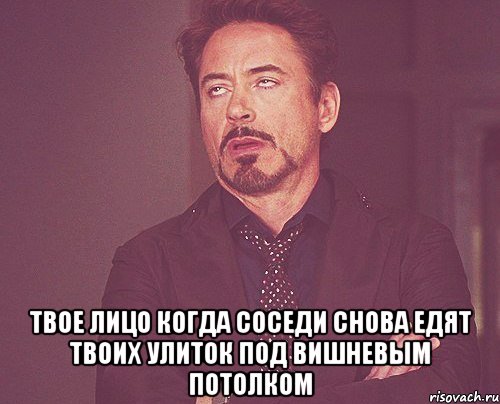  твое лицо когда соседи снова едят твоих улиток под вишневым потолком, Мем твое выражение лица