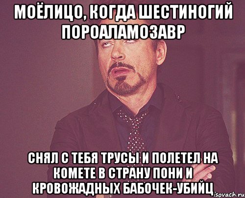 моёлицо, когда шестиногий пороаламозавр снял с тебя трусы и полетел на комете в страну пони и кровожадных бабочек-убийц, Мем твое выражение лица