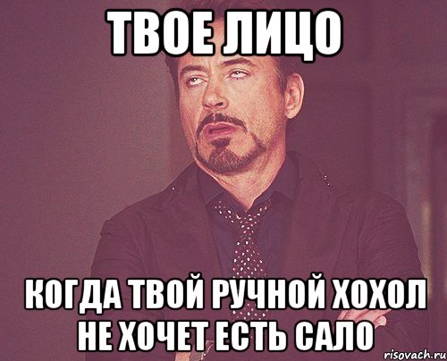 твое лицо когда твой ручной хохол не хочет есть сало, Мем твое выражение лица