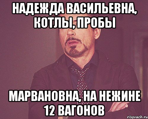 надежда васильевна, котлы, пробы марвановна, на нежине 12 вагонов, Мем твое выражение лица