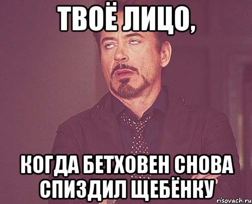 твоё лицо, когда бетховен снова спиздил щебёнку, Мем твое выражение лица