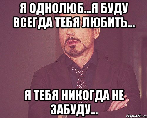 я однолюб...я буду всегда тебя любить... я тебя никогда не забуду..., Мем твое выражение лица