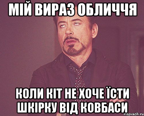 мій вираз обличчя коли кіт не хоче їсти шкірку від ковбаси, Мем твое выражение лица