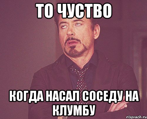 то чуство когда насал соседу на клумбу, Мем твое выражение лица