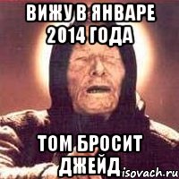 вижу в январе 2014 года том бросит джейд, Мем Ванга (цвет)