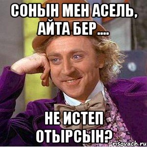 сонын мен асель, айта бер.... не истеп отырсын?, Мем Ну давай расскажи (Вилли Вонка)