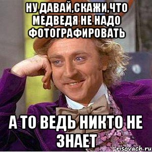 ну давай,скажи,что медведя не надо фотографировать а то ведь никто не знает, Мем Ну давай расскажи (Вилли Вонка)