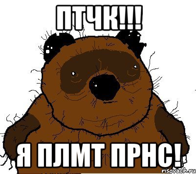 птчк!!! я плмт прнс!, Мем  Винни збс