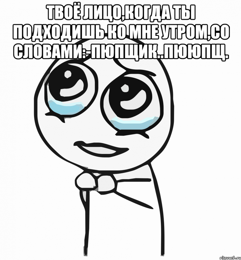 твоё лицо,когда ты подходишь ко мне утром,со словами:-пюпщик..пююпщ. , Мем  ну пожалуйста (please)