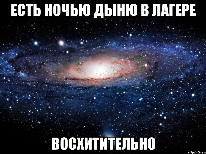 есть ночью дыню в лагере восхитительно, Мем Вселенная