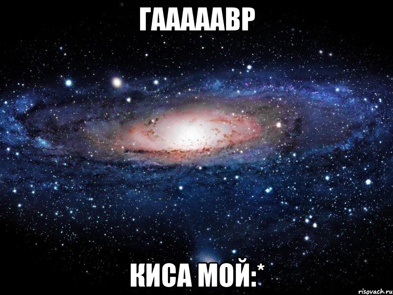 гааааавр киса мой:*, Мем Вселенная