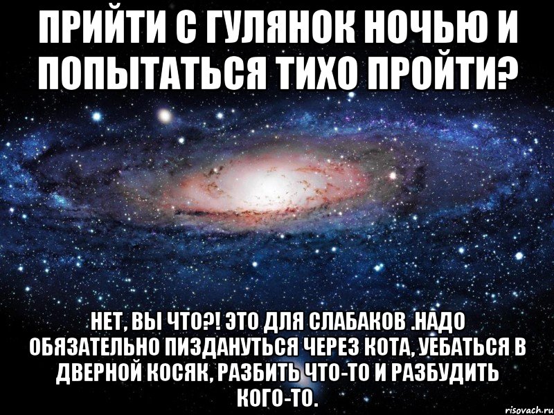 прийти с гулянок ночью и попытаться тихо пройти? нет, вы что?! это для слабаков .надо обязательно пиздануться через кота, уебаться в дверной косяк, разбить что-то и разбудить кого-то., Мем Вселенная