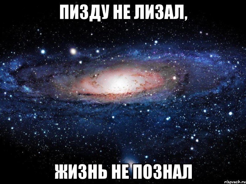 пизду не лизал, жизнь не познал, Мем Вселенная