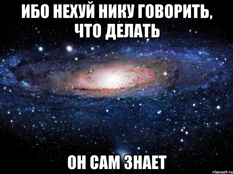 ибо нехуй нику говорить, что делать он сам знает, Мем Вселенная